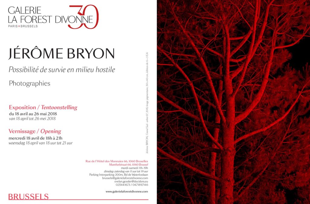 rue des prostituée bruxelles